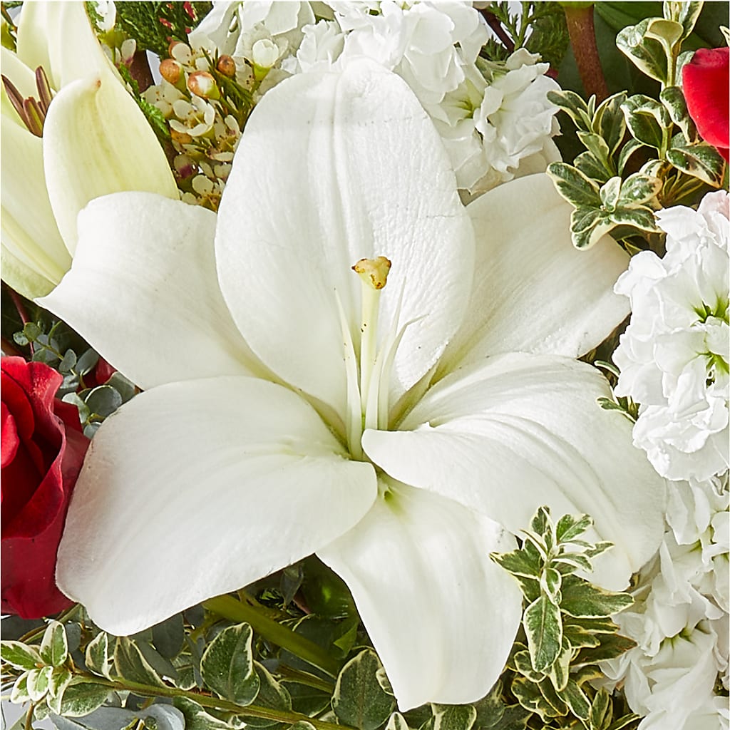 Twinkle Lights Bouquet –  Southern Utah Floral, Washington UT