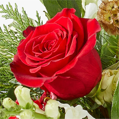 Deck the Halls Bouquet –  Southern Utah Floral, Washington UT