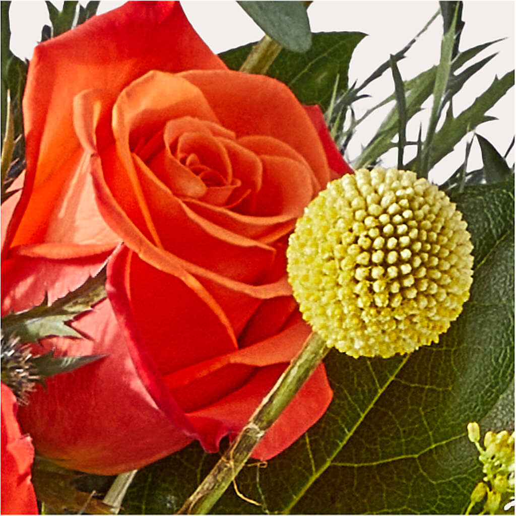 Disco Bouquet –  Southern Utah Floral, Washington UT