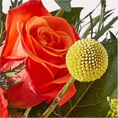 Disco Bouquet –  Southern Utah Floral, Washington UT