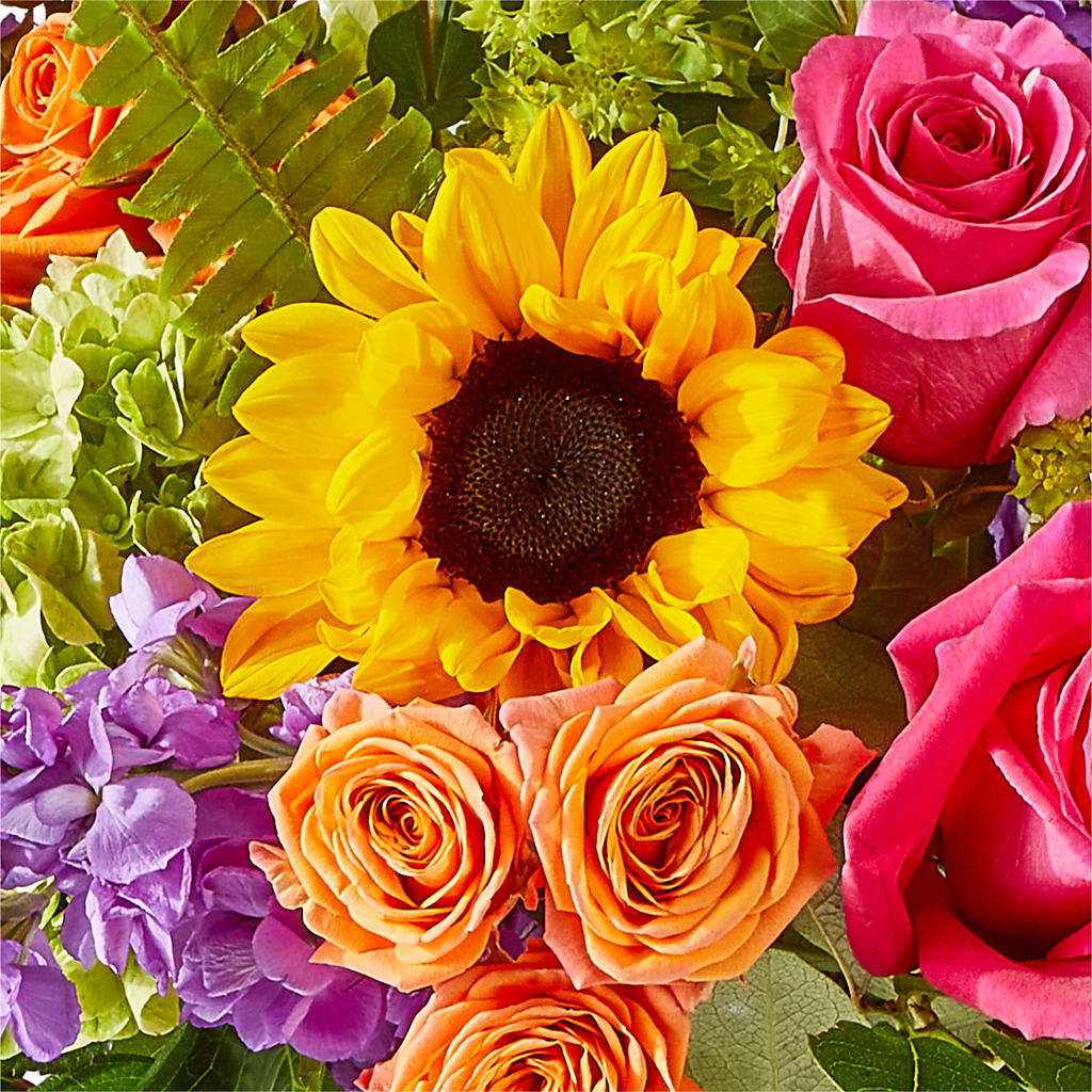 Vibrant Greetings Bouquet –  Southern Utah Floral, Washington UT