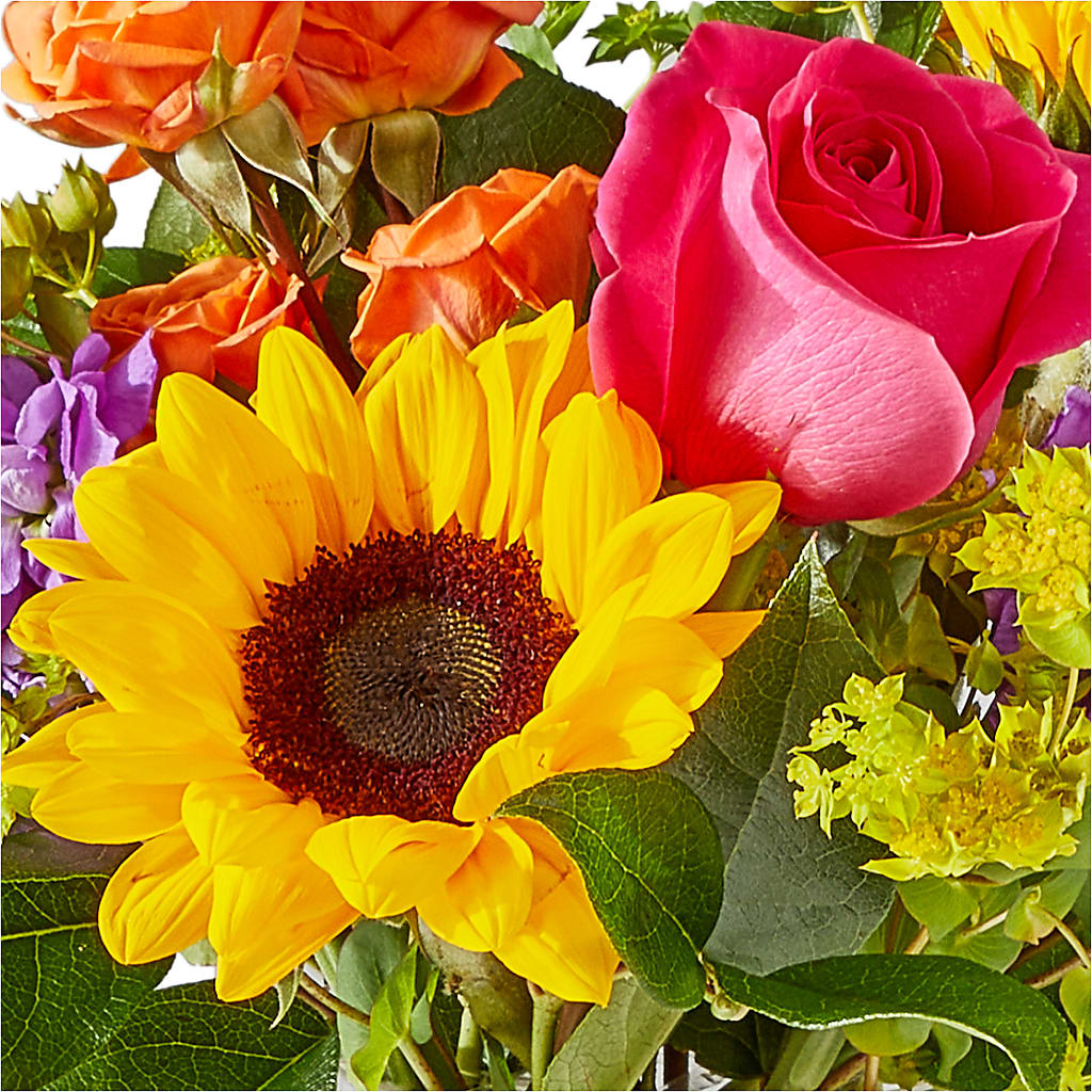 Vibrant Greetings Bouquet –  Southern Utah Floral, Washington UT