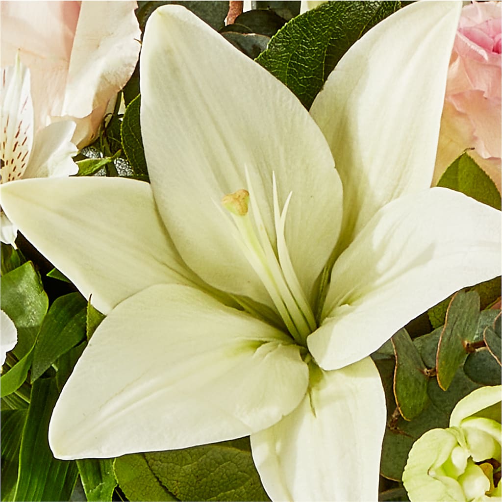 Ballet Slippers Bouquet –  Southern Utah Floral, Washington UT