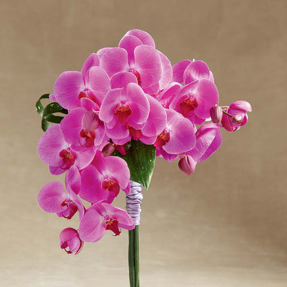 Glorious Bouquet –  Southern Utah Floral, Washington UT