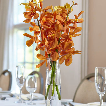Orange Mokara Bud Vase –  Southern Utah Floral, Washington UT