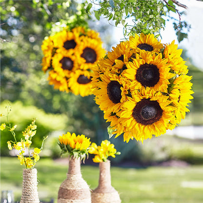 Sublime Garden Hanging Arrangement –  Southern Utah Floral, Washington UT