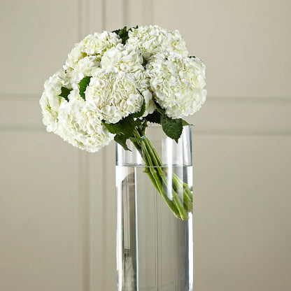 White Hydrangea Hand-Tied Bouquet –  Southern Utah Floral, Washington UT