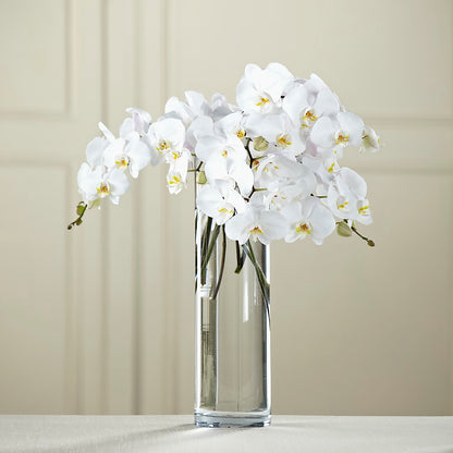 White Phalaenopsis Bouquet –  Southern Utah Floral, Washington UT