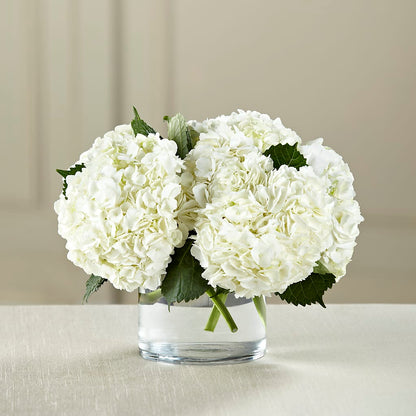 White Hydrangea Bouquet –  Southern Utah Floral, Washington UT